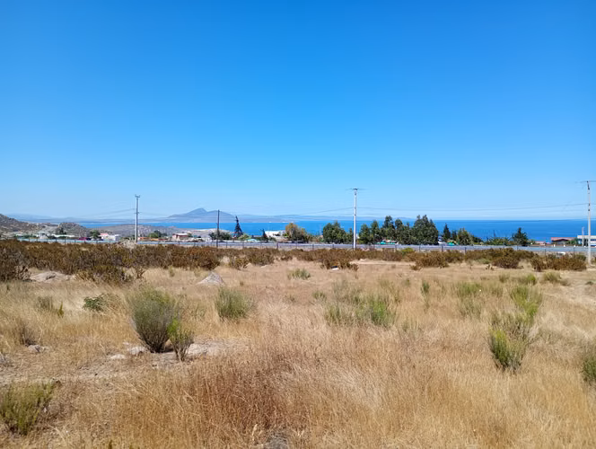 Parcela 5.385 Mts2 Sector Totoralillo A Orilla De Ruta 5 N.