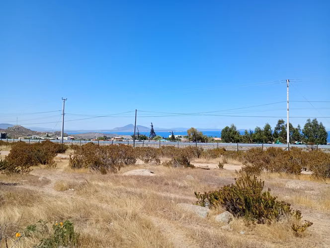 Parcela 5.385 Mts2 Sector Totoralillo A Orilla De Ruta 5 N.