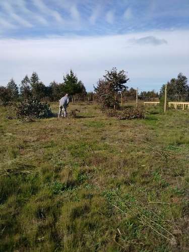 Venta Terreno 5.000m² Cond. Cumbres de Catillo/Parral