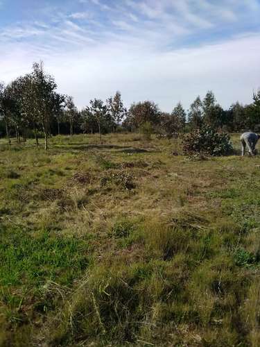 Venta Terreno 5.000m² Cond. Cumbres de Catillo/Parral