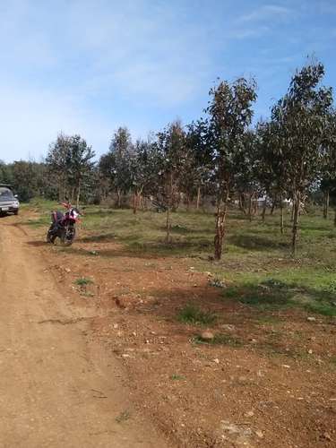 Venta Terreno 5.000m² Cond. Cumbres de Catillo/Parral