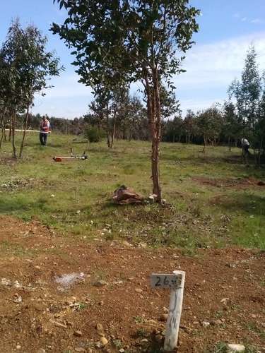 Venta Terreno 5.000m² Cond. Cumbres de Catillo/Parral