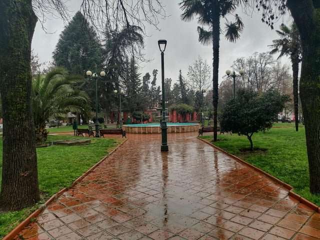 Oportunidad en terreno 253 m2, avenida principal