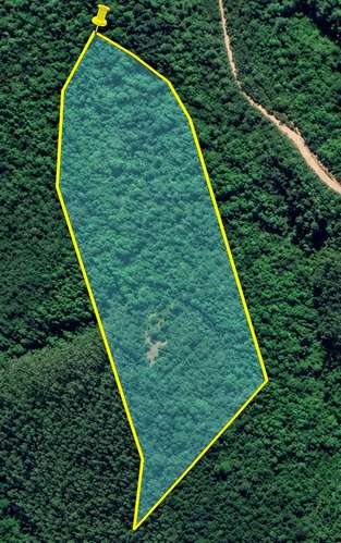 4 hectáreas para crear tu refugio en el sur