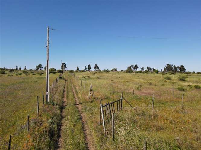 Sitio en venta en Chillán #137778
