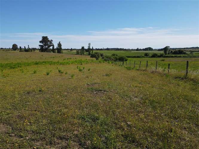 Sitio en venta en Chillán #137778