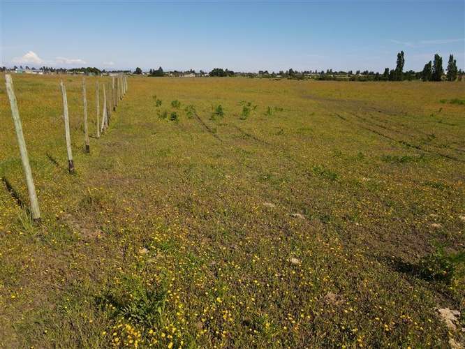 Sitio en venta en Chillán #137778