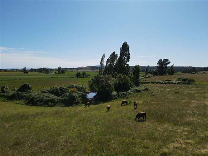 Sitio en venta en Chillán #137778