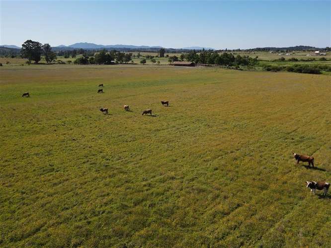 Sitio en venta en Chillán #137778