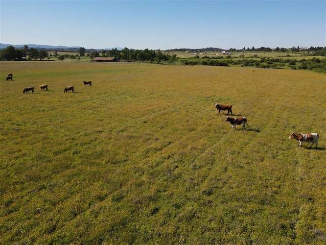 Sitio en venta en Chillán #137778