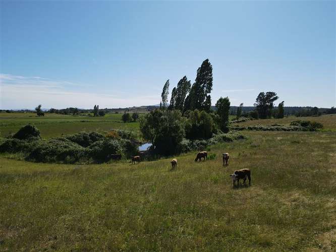 Sitio en venta en Chillán #137778