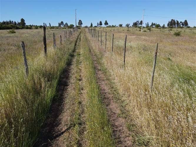 Sitio en venta en Chillán #137778