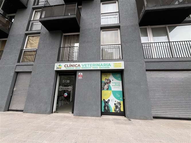 Local Comercial arrendado en venta Excelente ubicacion - Imagen 2