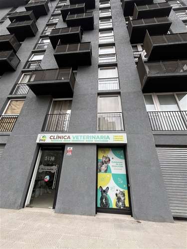 Local Comercial arrendado en venta Excelente ubicacion - Imagen 4