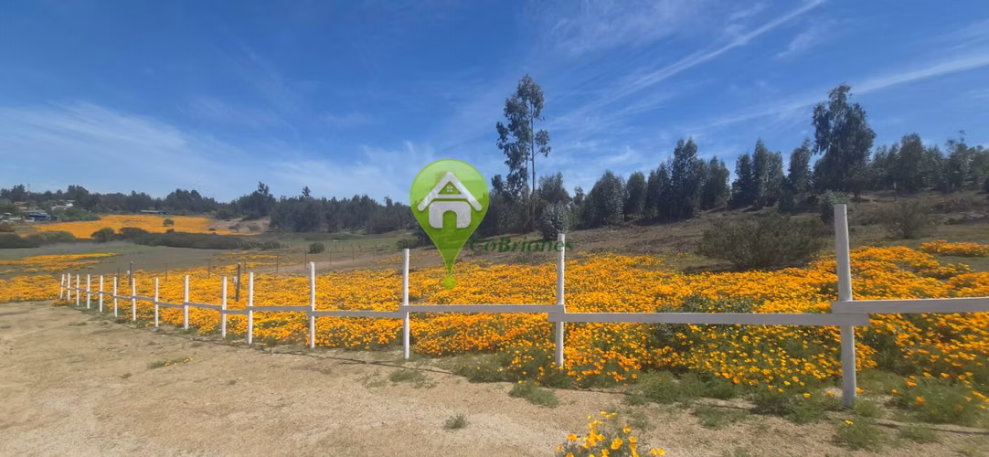 Parcelas en Campiche, Puchuncaví - Imagen 5