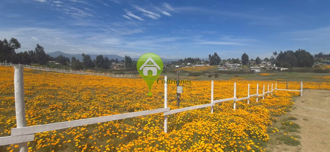 Parcelas en Campiche, Puchuncaví - Imagen 4