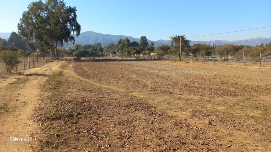 VIVE EN ARMONÍA CON LA NATURALEZA EN PUMANQUE