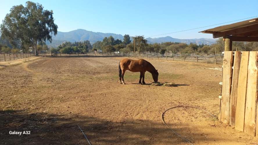 VIVE EN ARMONÍA CON LA NATURALEZA EN PUMANQUE