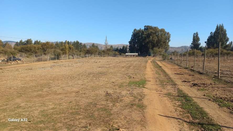 VIVE EN ARMONÍA CON LA NATURALEZA EN PUMANQUE