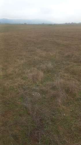Excelente terreno plano con Tranque a 20 kms de Chillán
