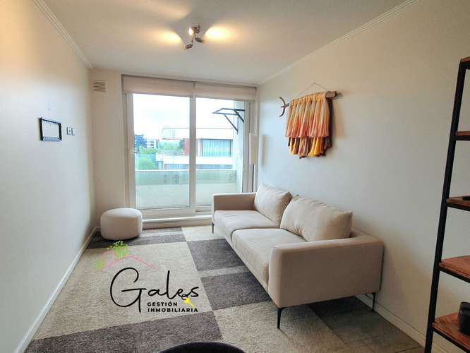Deoa 1D,1E y 1B. SECTOR AV. ALEMANIA AMOBLADO (185367)