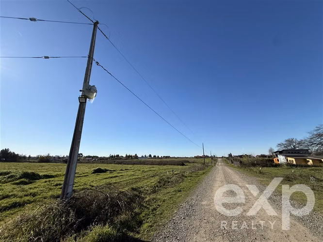 Agrícola en venta, Coihueco-Chillán #261043 - Imagen 4
