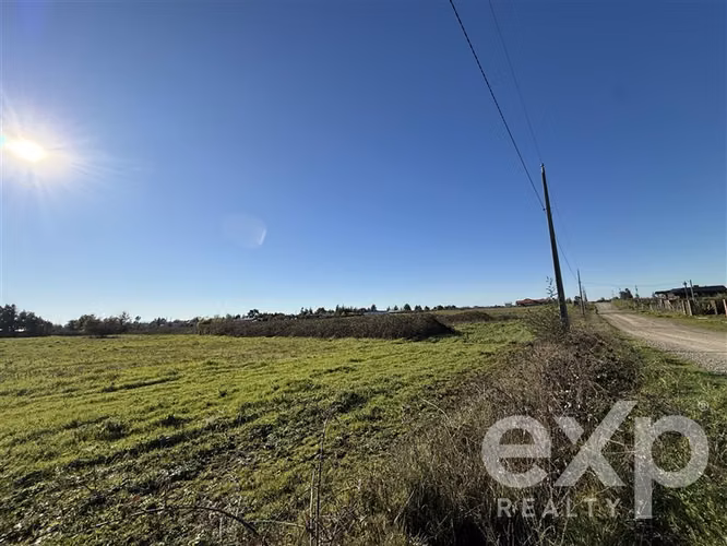 Agrícola en venta, Coihueco-Chillán #261043 - Imagen 3