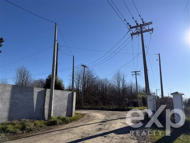 Agrícola en venta, Coihueco-Chillán #261043 - Imagen 9