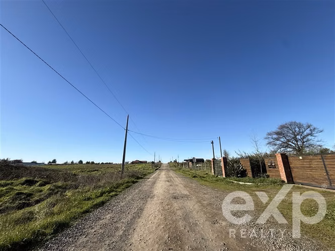 Agrícola en venta, Coihueco-Chillán #261043 - Imagen 7