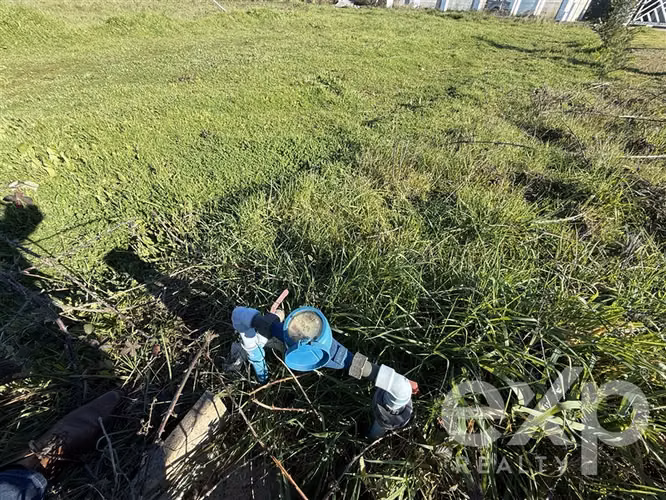 Parcela en venta en Chillán - Imagen 8
