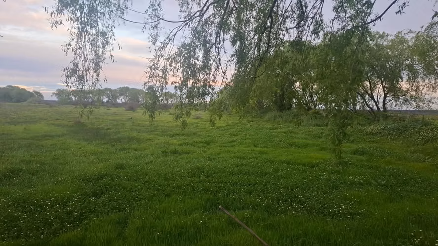 TERRENO DE 6,5 HÉCTAREAS EN SECTOR TRAPICHE- SAN CARLOS