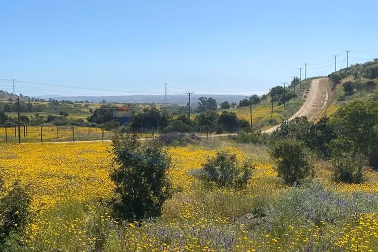 Casa tecnofast en parcela de 10.000 m2 - Imagen 13