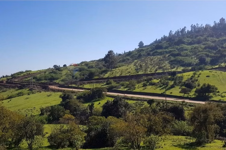 Casa tecnofast en parcela de 10.000 m2 - Imagen 10