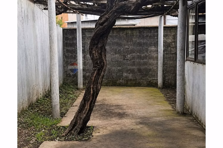 Casa en venta en chiguayante - Imagen 29
