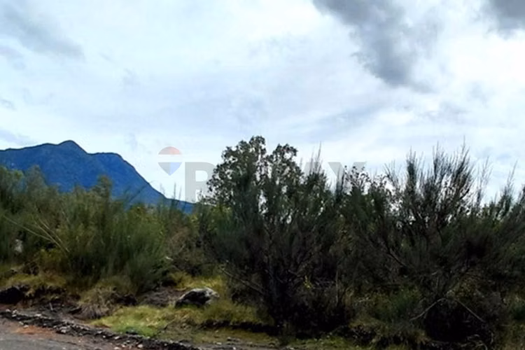 Parcela en pucón con luz y acceso al río trancura - Imagen 17