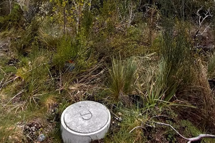Parcela en pucón con luz y acceso al río trancura - Imagen 16
