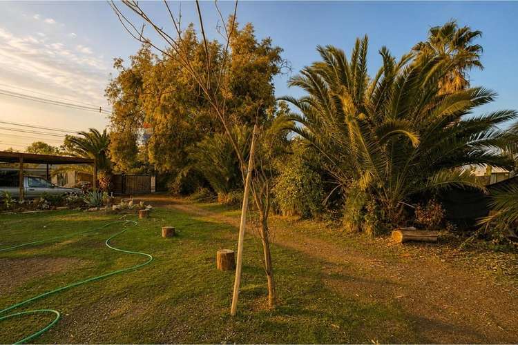 Terreno de 2.000 m en arriendo | batuco, lampa