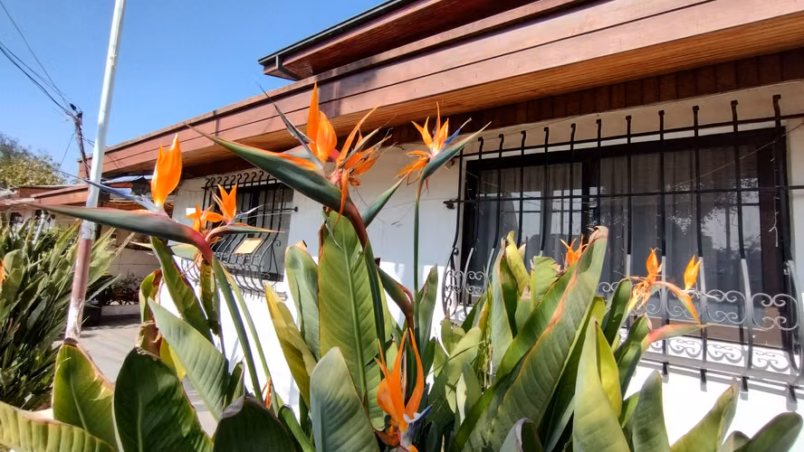 CASA 6D, 3B, 188 M2, 320 M2, CERCANA HOSPITAL EL CARMEN