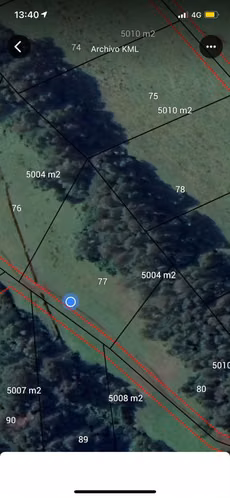 PARCELA 5MILM2 CON VISTA AL VOLCÁN LLAIMA - Imagen 18