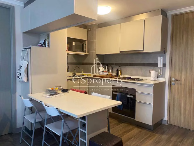 Venta Departamento Mariposa 2D+2B bosques (185414)