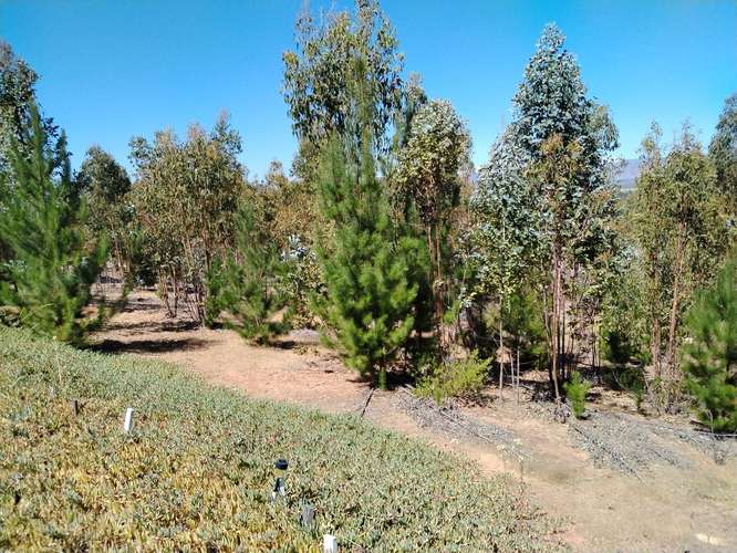 Gestimob vende parcela de 5.000 m2 con casa en Nilahue Alto comuna de  Lolol