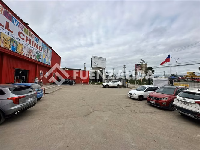Arriendo Local Comercial 1.000 m2, Sector La Garza, Coquimbo - Imagen 10