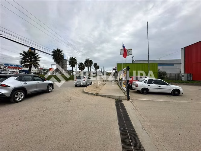 Arriendo Local Comercial 1.000 m2, Sector La Garza, Coquimbo - Imagen 9