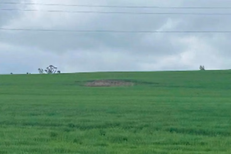 Terreno Comercial En Perquenco: ¡inversión Ideal! - Imagen 2