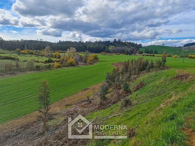 Agrícola en venta en Traiguén