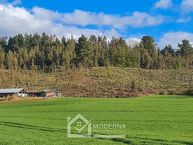 Agrícola en venta en Traiguén