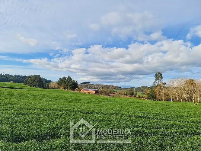 Agrícola en venta en Traiguén
