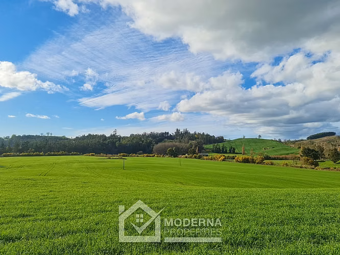 Agrícola en venta en Traiguén