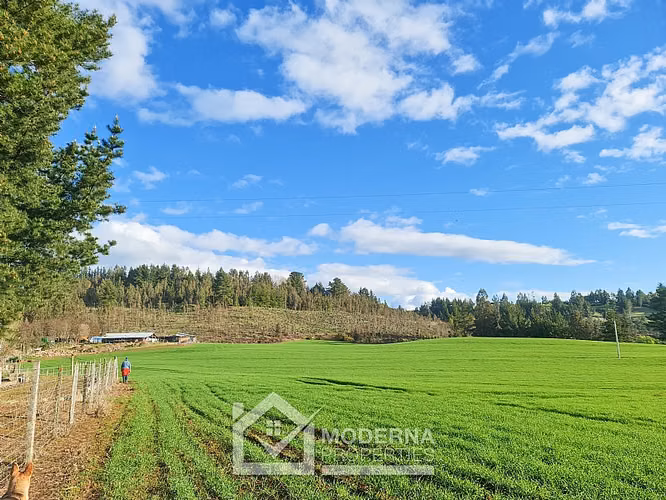 Agrícola en venta en Traiguén