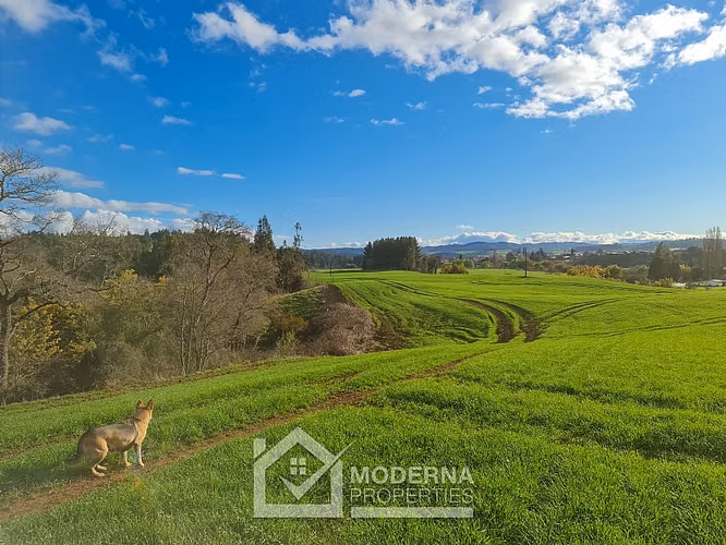 Agrícola en venta en Traiguén